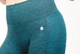TWO-TONE PERFECT BLEND SEAMLESS LEGGING