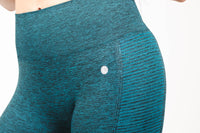 TWO-TONE PERFECT BLEND SEAMLESS LEGGING